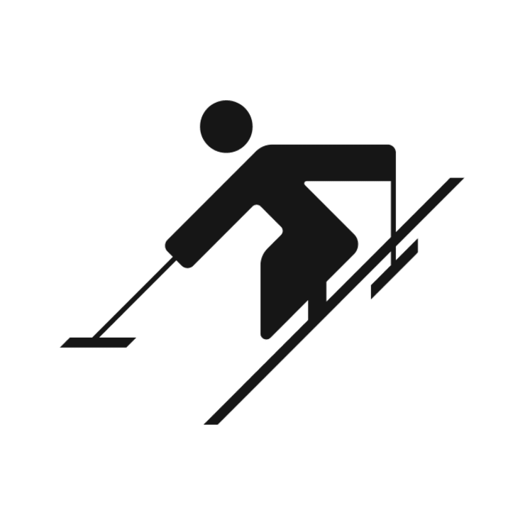 Para Alpine Pictogram